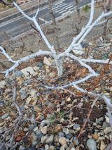 팜모닝 자유주제·자유게시판 게시글 이미지