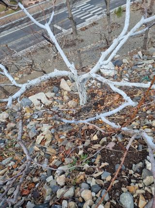 김용대님의 자유주제 · 자유게시판 작성글 사진