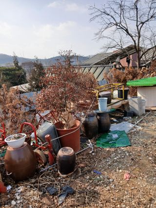 팜모닝회원 최창락 님의 자유주제 · 자유게시판 작성글 사진