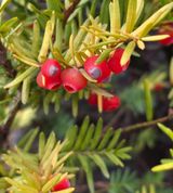 안길원님의 자유주제·자유게시판 작성글 사진