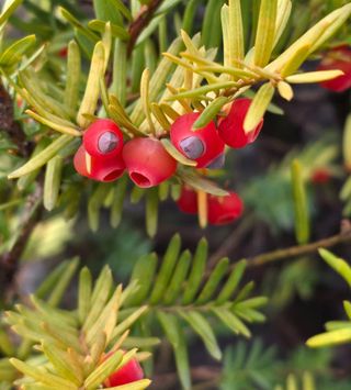 안길원님의 자유주제 · 자유게시판 작성글 사진