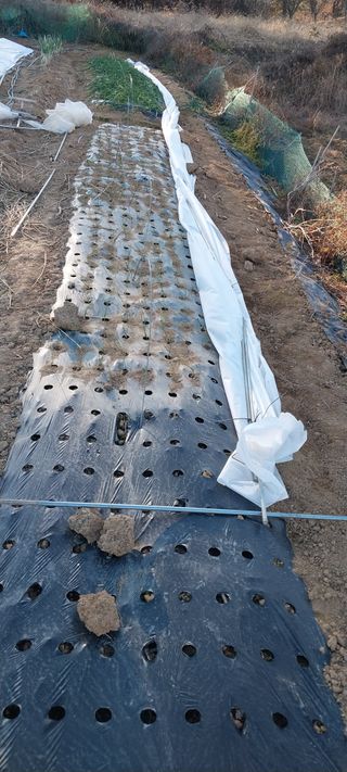 삿갓농부님의 자유주제 · 자유게시판 작성글 사진