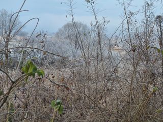 허굴산농장님의 자유주제 · 자유게시판 작성글 사진