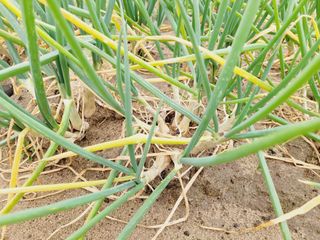 한경훈님의 자유주제 · 자유게시판 작성글 사진