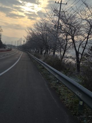 허굴산농장님의 자유주제 · 자유게시판 작성글 사진