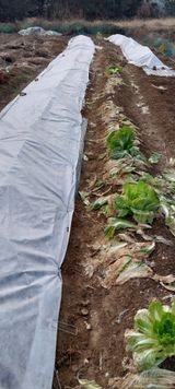 삿갓농부님의 자유주제·자유게시판 작성글 사진