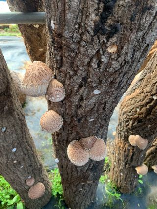 한밭농원님의 자유주제 · 자유게시판 작성글 사진