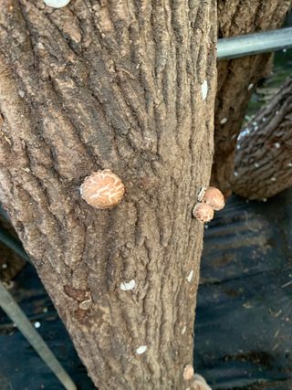 한밭농원님의 자유주제 · 자유게시판 작성글 사진