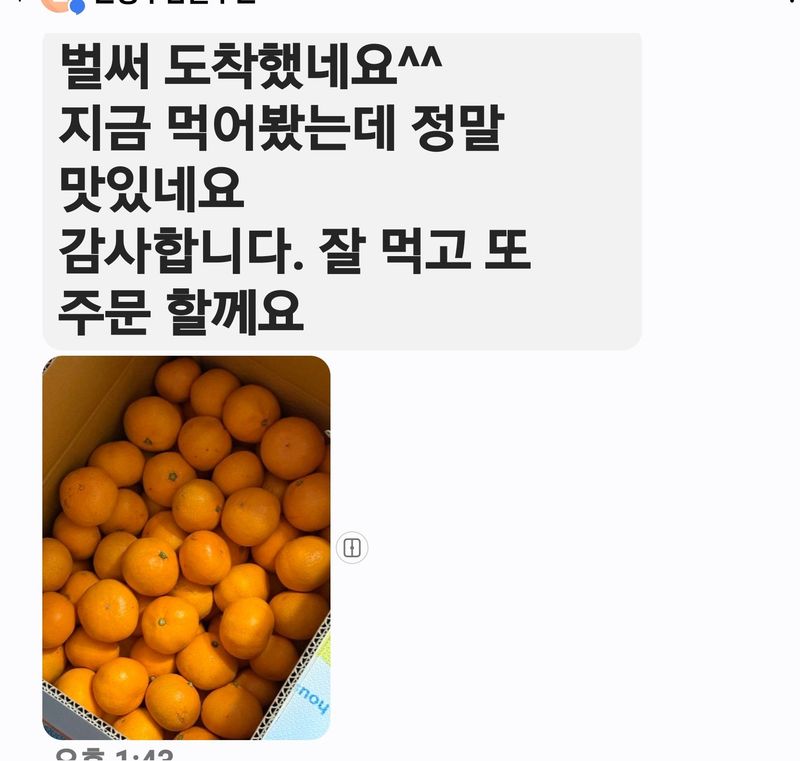 김행복님의 장터 판매 상품 [고당도 감귤 10kg(무료배송) 판매종료] 첨부 사진