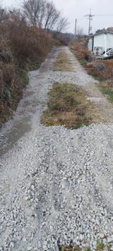 팜모닝 자유주제·자유게시판 게시글 이미지