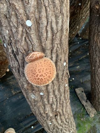 한밭농원님의 자유주제 · 자유게시판 작성글 사진