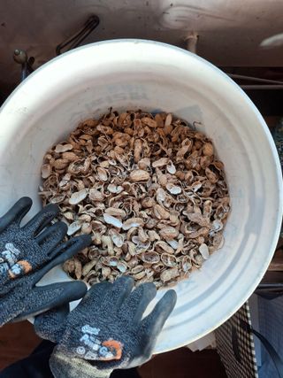 김중언님의 자유주제 · 자유게시판 작성글 사진