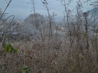 허굴산농장님의 자유주제 · 자유게시판 작성글 사진