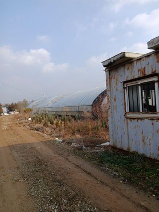 팜모닝회원 최창락 님의 자유주제 · 자유게시판 작성글 사진