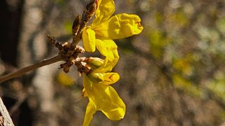 안길원님의 자유주제 · 자유게시판 작성글 사진