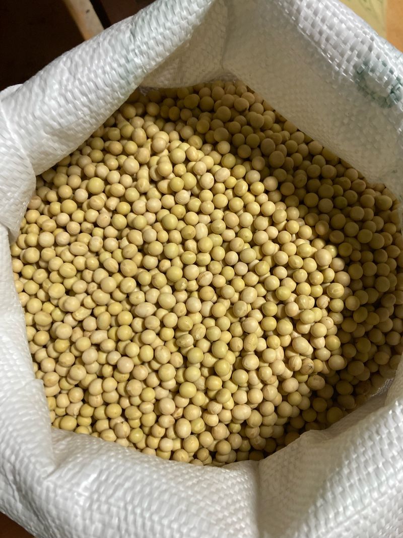 장터 상품 [메주콩  35kg] 썸네일