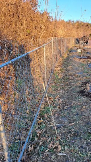 주윤발이님의 자유주제 · 자유게시판 작성글 사진