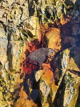 팜모닝 자유주제·자유게시판 게시글 이미지