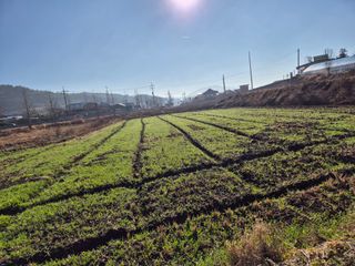 김영진(전남영광)님의 자유주제 · 자유게시판 작성글 사진