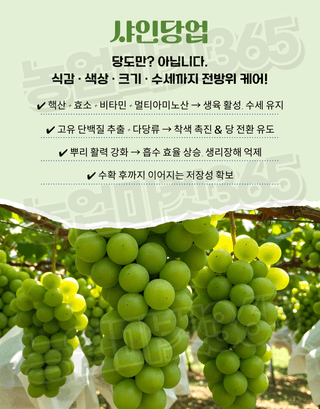 농업마켓365님의 작성글 사진