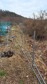 팜모닝 자유주제·자유게시판 게시글 이미지