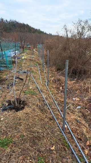 주윤발이님의 자유주제 · 자유게시판 작성글 사진