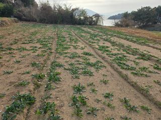 정동출님의 자유주제 · 자유게시판 작성글 사진