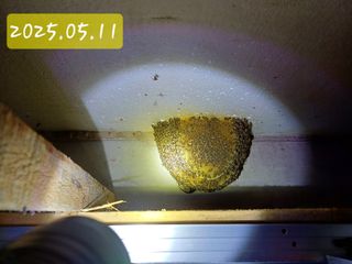 최정윤님의 자유주제 · 자유게시판 작성글 사진