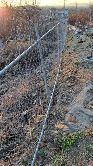 주윤발이님의 자유주제 · 자유게시판 작성글 사진