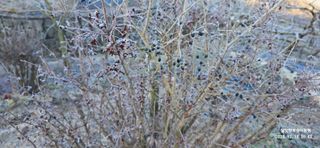 달맛햇복숭아농원님의 자유주제 · 사진전 작성글 사진