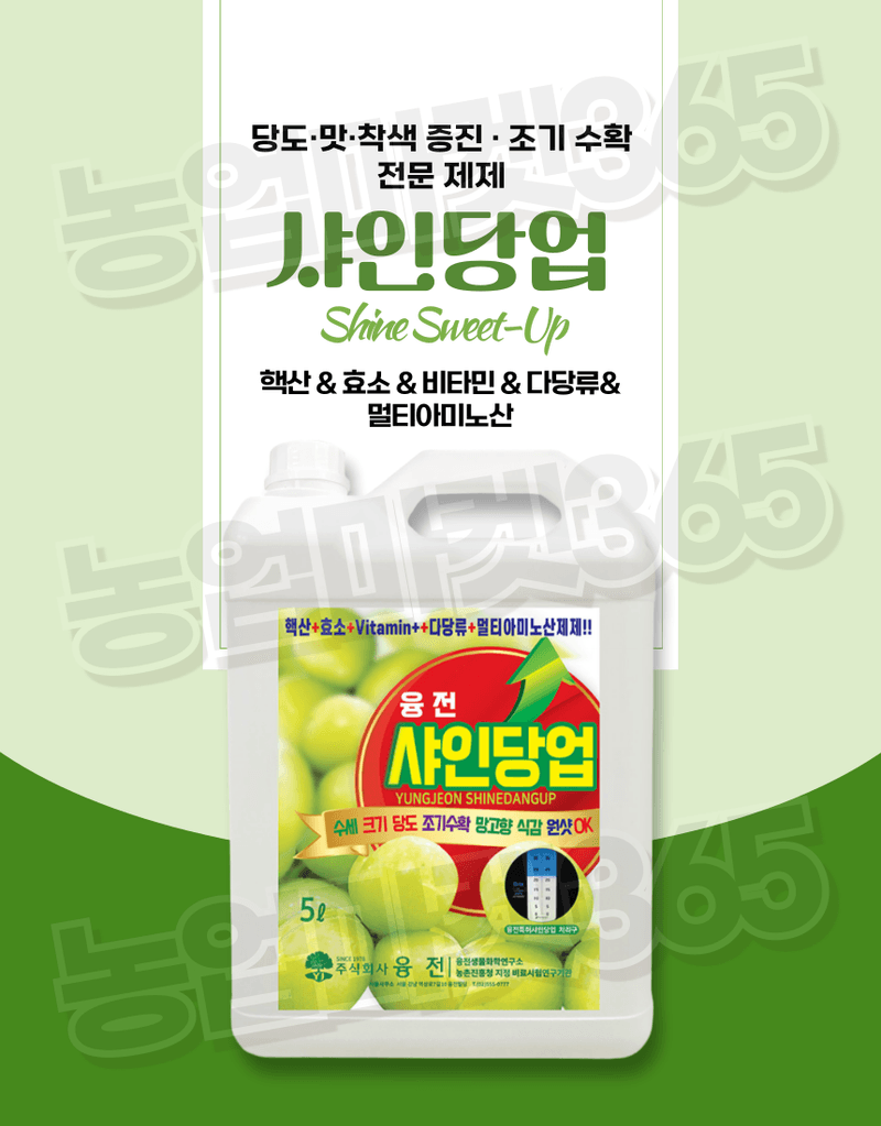 농업마켓365님의 장터 판매 상품 [샤인당업 액제 5L 샤인머스캣 당도증진 착색향상 조기수확 관주비료] 첨부 사진
