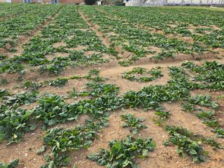 정동출님의 자유주제 · 자유게시판 작성글 사진