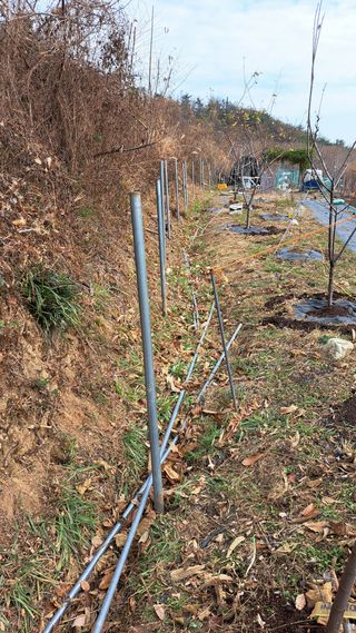 주윤발이님의 자유주제 · 자유게시판 작성글 사진