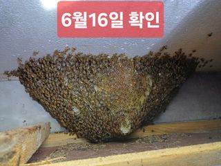 최정윤님의 자유주제 · 자유게시판 작성글 사진