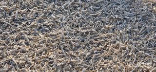 달맛햇복숭아농원님의 자유주제 · 사진전 작성글 사진