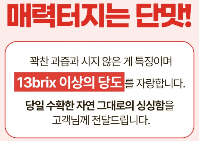 스피드번님의 장터 판매 상품 [킹스베리 ] 첨부 사진