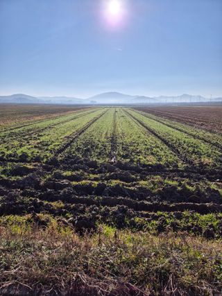 김영진(전남영광)님의 자유주제 · 자유게시판 작성글 사진