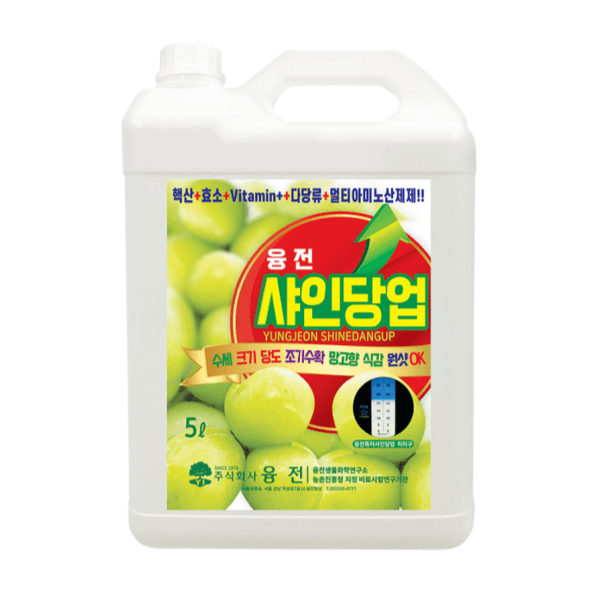 장터 상품 [샤인당업 액제 5L 샤인머스캣 당도증진 착색향상 조기수확 관주비료] 썸네일