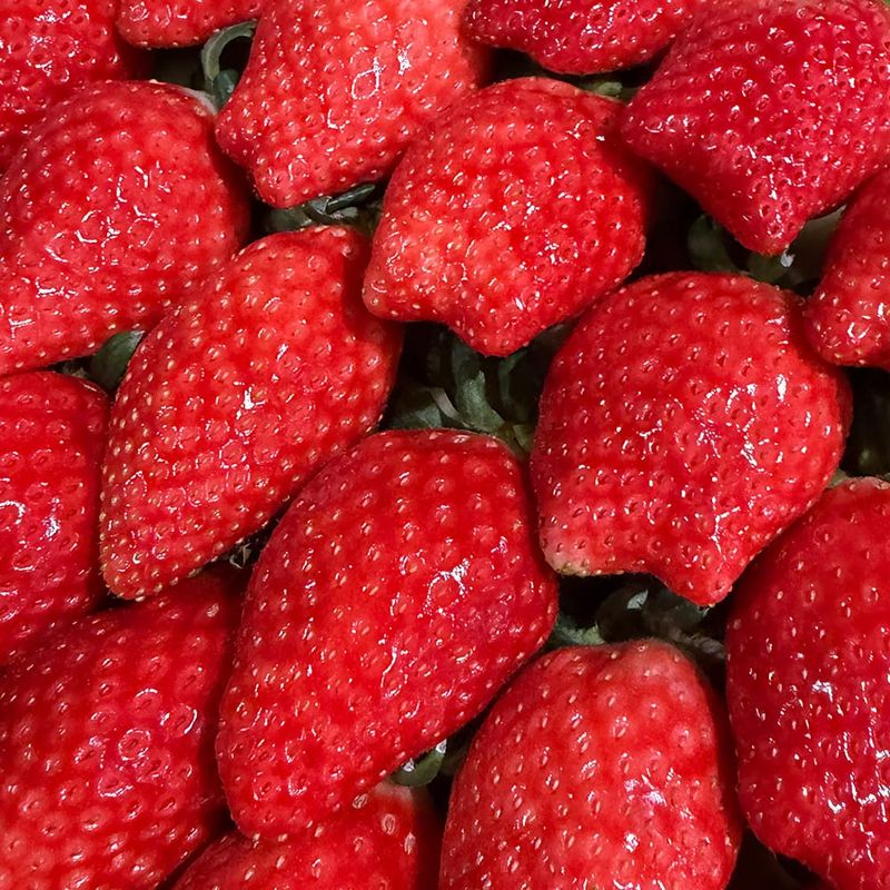 장터 상품 [킹스베리 ] 썸네일