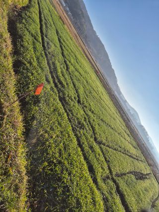 김영진(전남영광)님의 자유주제 · 자유게시판 작성글 사진