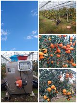 팜모닝 · 게시글 이미지