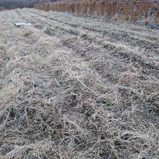 오영도님의 자유주제 · 자유게시판 작성글 사진