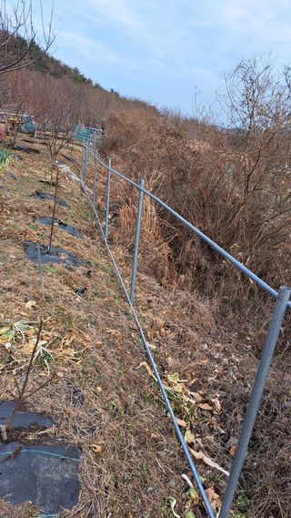 주윤발이님의 자유주제 · 자유게시판 작성글 사진