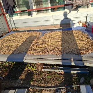 오영도님의 자유주제 · 자유게시판 작성글 사진