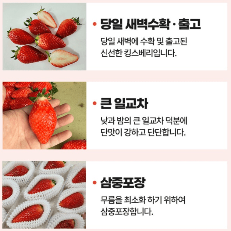 스피드번님의 장터 판매 상품 [킹스베리 ] 첨부 사진