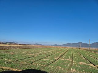 김영진(전남영광)님의 자유주제 · 자유게시판 작성글 사진