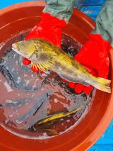 팜모닝 자유주제·자유게시판 게시글 이미지