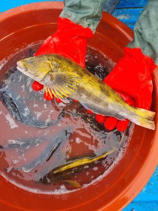 이영환님의 자유주제 · 자유게시판 작성글 사진