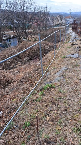 주윤발이님의 자유주제 · 자유게시판 작성글 사진