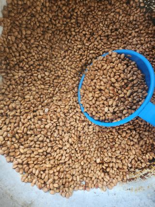 백화산지킴이산야초님의 자유주제 · 사진전 작성글 사진